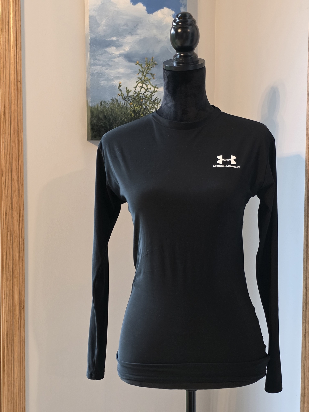 Under Armour Women's HeatGear Fitted Long Sleeve T-Shirt-S/M